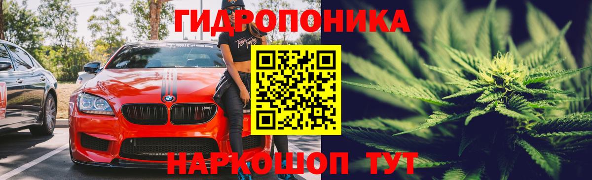 Бошки Шишки Bruce Banner Дзержинск